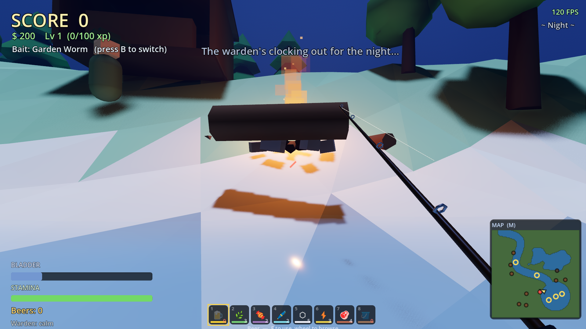Campfire at night
